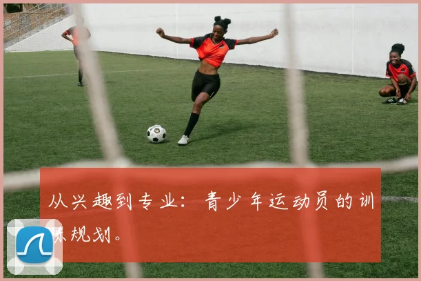 从兴趣到专业:青少年运动员的训练规划。